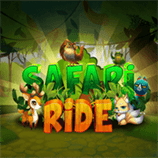 Orion Stars Safari Ride
